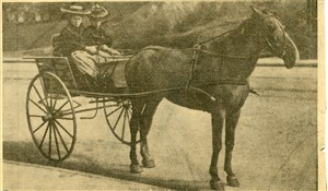 Image description is not available for PHO-4-W689-276